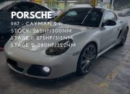 PORSCHE, CAYMAN 987 2009, 2.9