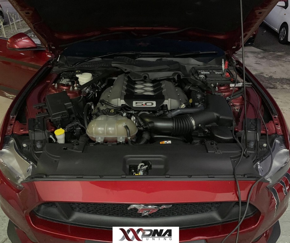 Ford Mustang GT 5.0 V8